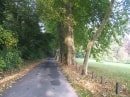 de Mareau à Pithiviers-le-Vieil
